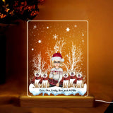 Personalized Dog Mom Dog Lovers Girl Xmas Snow LED Night Light Acrylic LED Lamp Printed PN23839