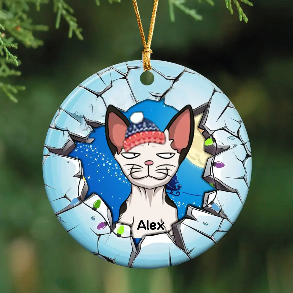 Personalized Cat Xmas Cat Lovers Gift Ceramic Ornament Printed HTHKVH23958