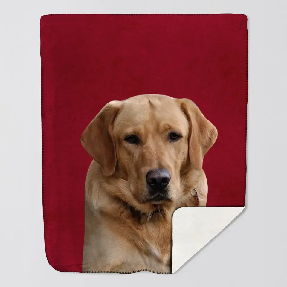 Personalized Upload Your Pet Photo Dog Lovers Cat Lovers Gift Sherpa or Fleece Blanket Printed HN231529