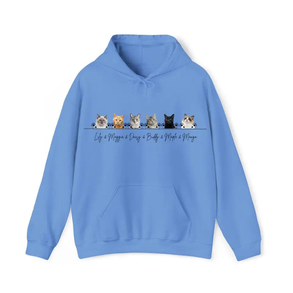 Personalized Upload Your Cat Photo Cat Lovers Gifts Hoodie 2D Printed VQ231583