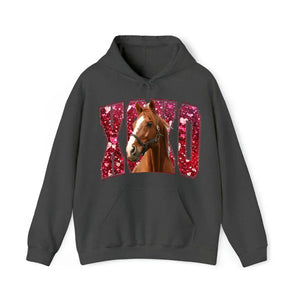 Personalized Upload Your Horse Photo Horse Lovers Gift Xoxo Valentine's Day Gift Sweatshirt or Hoodie Printed VQ24160