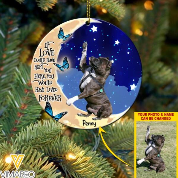 DH PERSONALIZED PITBULL DOG PHOTO HANGING ORNAMENT DEC-MA09