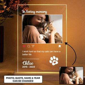 Personalized In Loving Memory Cat Lovers Your Memorial Cat Image Led Lamp Printed PNHY1101