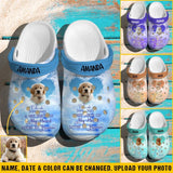 Personalized Pet Image & A Big Piece Of My Heart Lives In Heaven Clog Slipper Shoes Printed PNVD2102