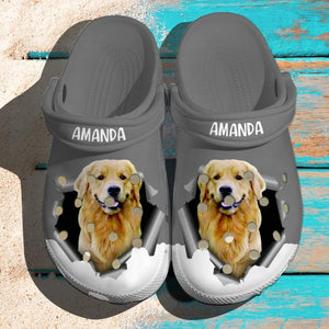 Personalized Upload Your Dog's Photo & Name Clog Slipper Shoes Printed PNVD2802