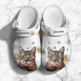 Personalized Upload Cat Photos Cat Lovers Paw Clog Slipper Shoes Printed 23MAR-DT24