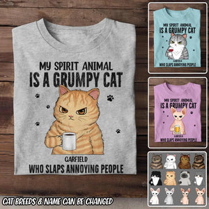 Personalized My Spirit Animal Is A Grumpy Cat Cat Lovers Tshirt Printed QTDT0104