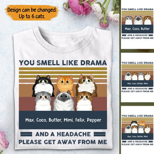 Personalized You Smell Like Drama And A Headache Please Det Away From Me Cat Lovers T-shirt Printed MTTB2205