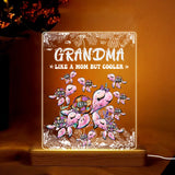 Personalized Grandma Mommy Auntie Like A Mom But Cooler Sea Turtle LED Night Light Acrylic LED Lamp Printed HQPN0707