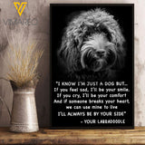 Labradoodle Dog VEMS