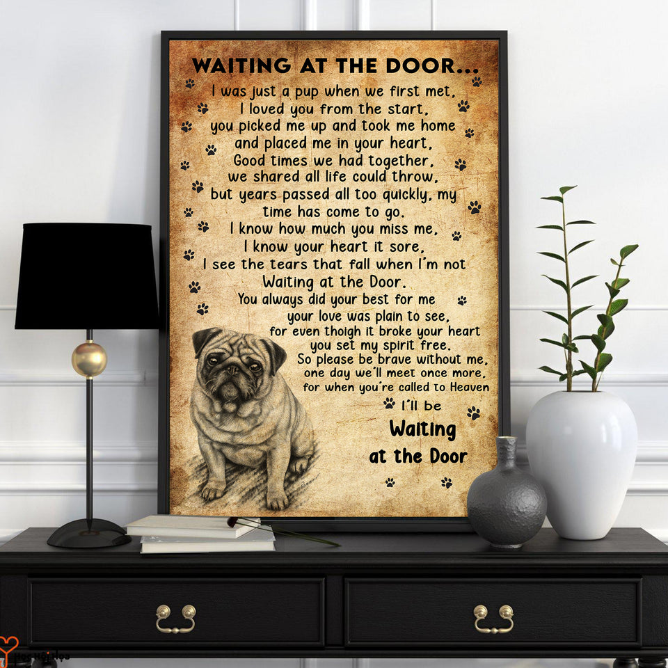 Pug Dog VVAK