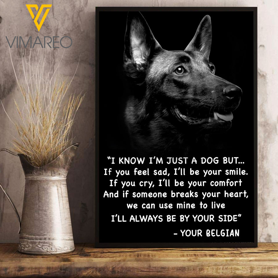 Belgian Malinois Dog VEMS