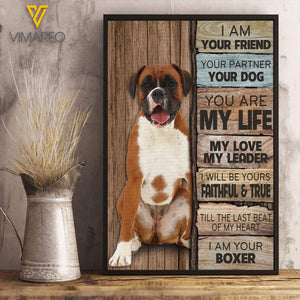 Boxer Dog KWE