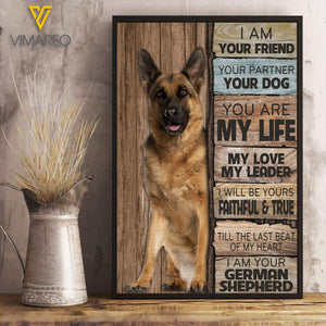 German Shepherd Dog KWE