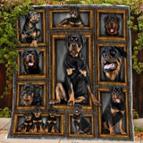 Rottweiler Dog BM1D