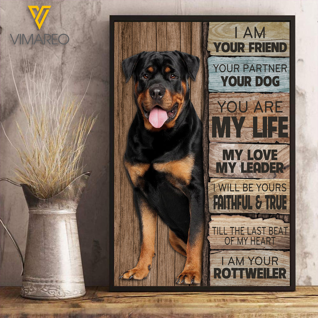 Rottweiler Dog KWE