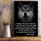 Shiba Inu Dog VEMS